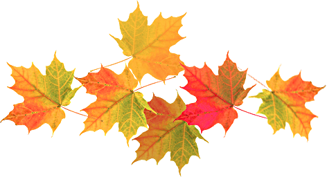 79089139_4068804_c5bd94fd9a72