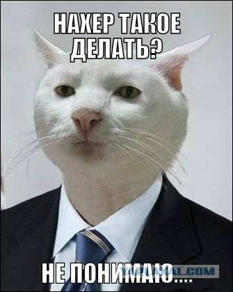 Пипеткин