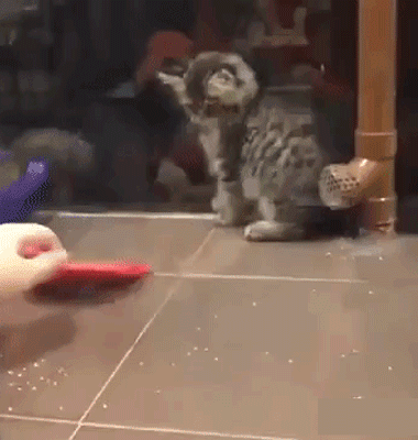 b4c687a505a8baa75f88face23b