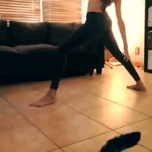 кот в кадре