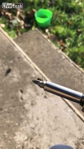 ezgif.com-video-to-gif (5)