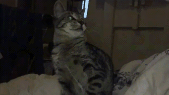 61367930625858eef156917678676d2a