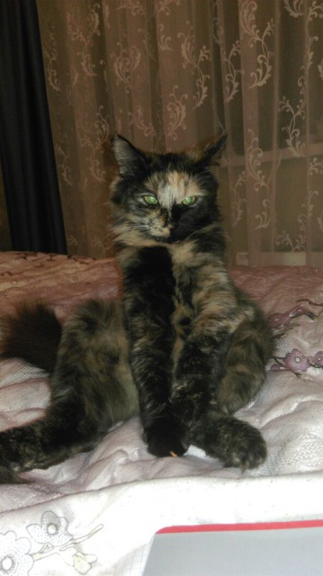 WhatsApp Image 2017-02-18 at 19.53.29