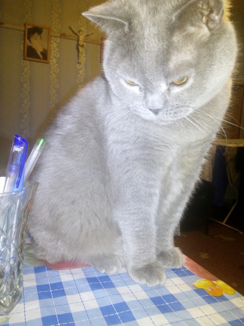 201704172251114831d705