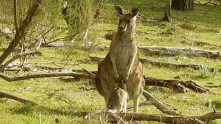 Мама, роди меня обратно