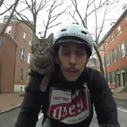 Всегда вместе