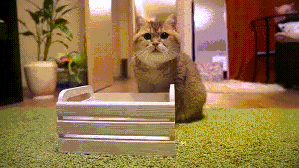 А кому мимиметр сломать?