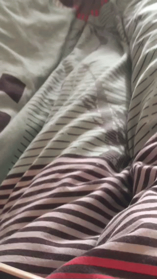 За мной постоянно следит моя кошка