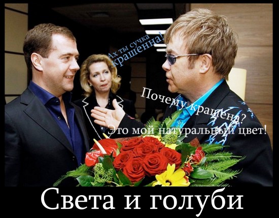 голуби