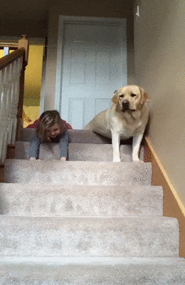 Хорошо, когда рядом есть тот, кто поддержит тебя в любой твоей странности