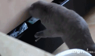 попадалово