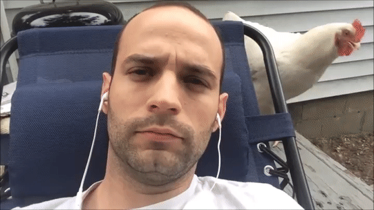 Остановите музыку