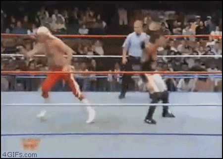 funnygifwrestling