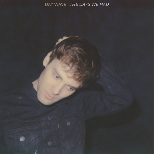 00.Day Wave – The Days We Had (2017)