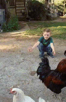 BumazhnySamoletik (1)