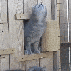 tmp_cleverpub_a3c406c62b09821bb76244936d70164b