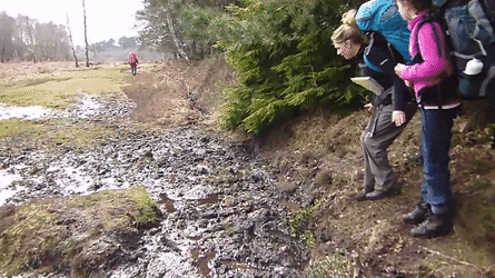 Не расчитала