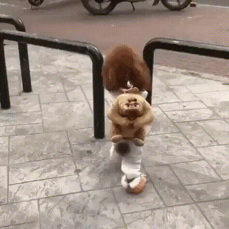 -собака-3847890