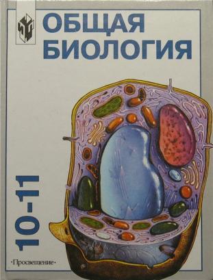 1282726685_115656977_1----10-11--1282726685