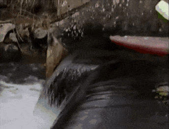 7615f1e74b5f50a05e3c5c33451