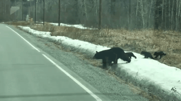 d3eaa1779ea93b25b009c9873d9