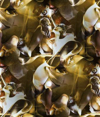 1 Смотрящий