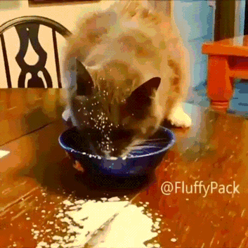 lprz