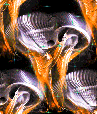 15 Красота вселенной