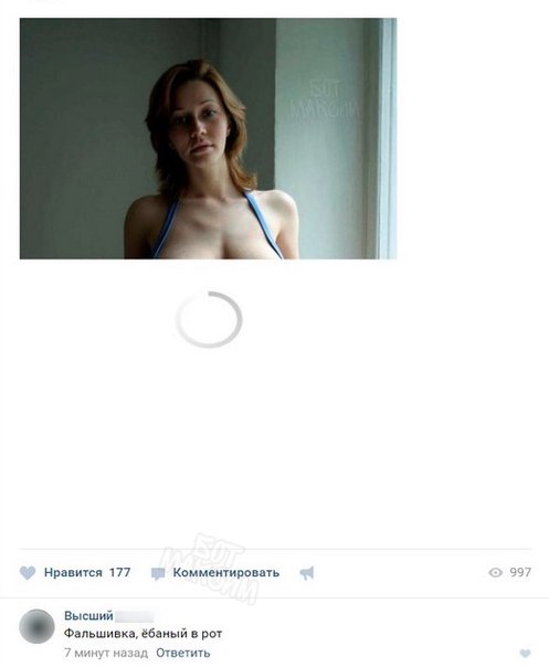 9772137