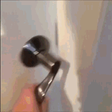 Pes-zhivnost-gifki-palevo-1297261