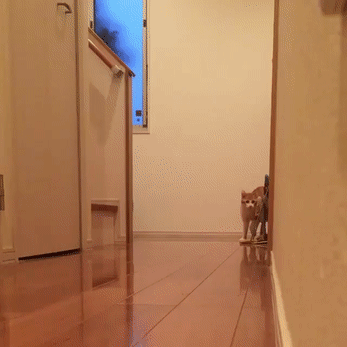 Это мой коридор