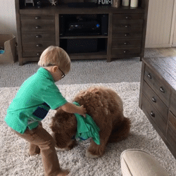 Нам выступать