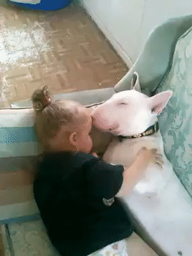 Полное взаимопонимание