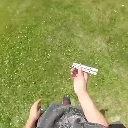 giphy665