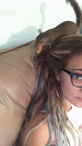 Белочка приходила