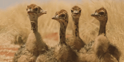 . Пойду, посмотрю