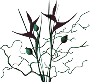 0_16a644_cf947c8a_orig