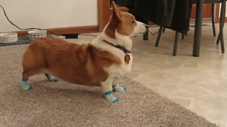 Издеваются