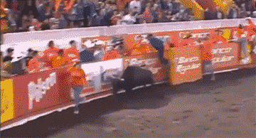 Давай лети отсюда...