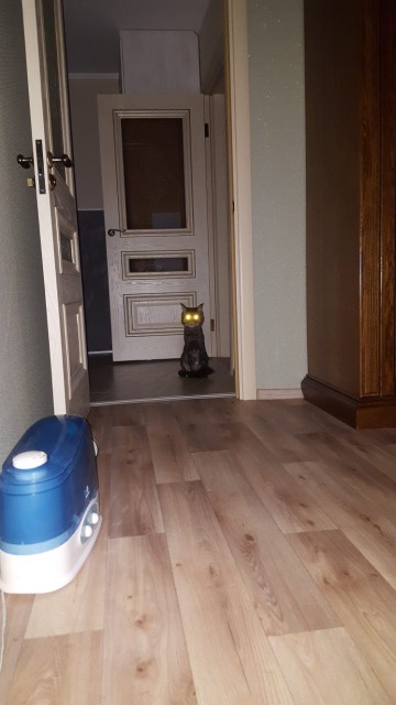 0-02-05-abea810146972bcf20dbf12838c5be6e29338fb66113d3aefbf70e4ce8dffbc9_full