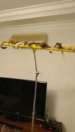 8deda4ce764258aadf7cf7a9cfc