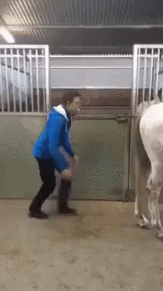 104a694f24d2c08a6d1c701ca3d