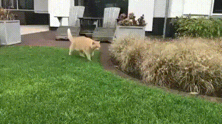 4363d80c472557057e22414244f