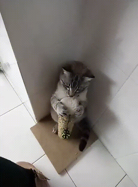 be95f172ddeae26df80acdcaf9a