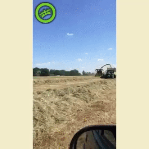 ezgif.com-video-to-gif (3)