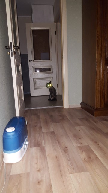 0-02-05-b5a56735887a0652e7e0717636a62cf54a8e89c00a1c7020cd7eb97173d88e6e_full