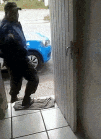 Лапы на стену