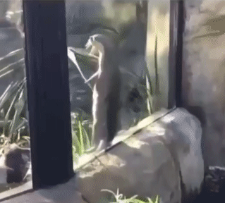 Выдротверк