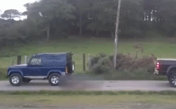 Мал да удал