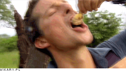 giphy (9)